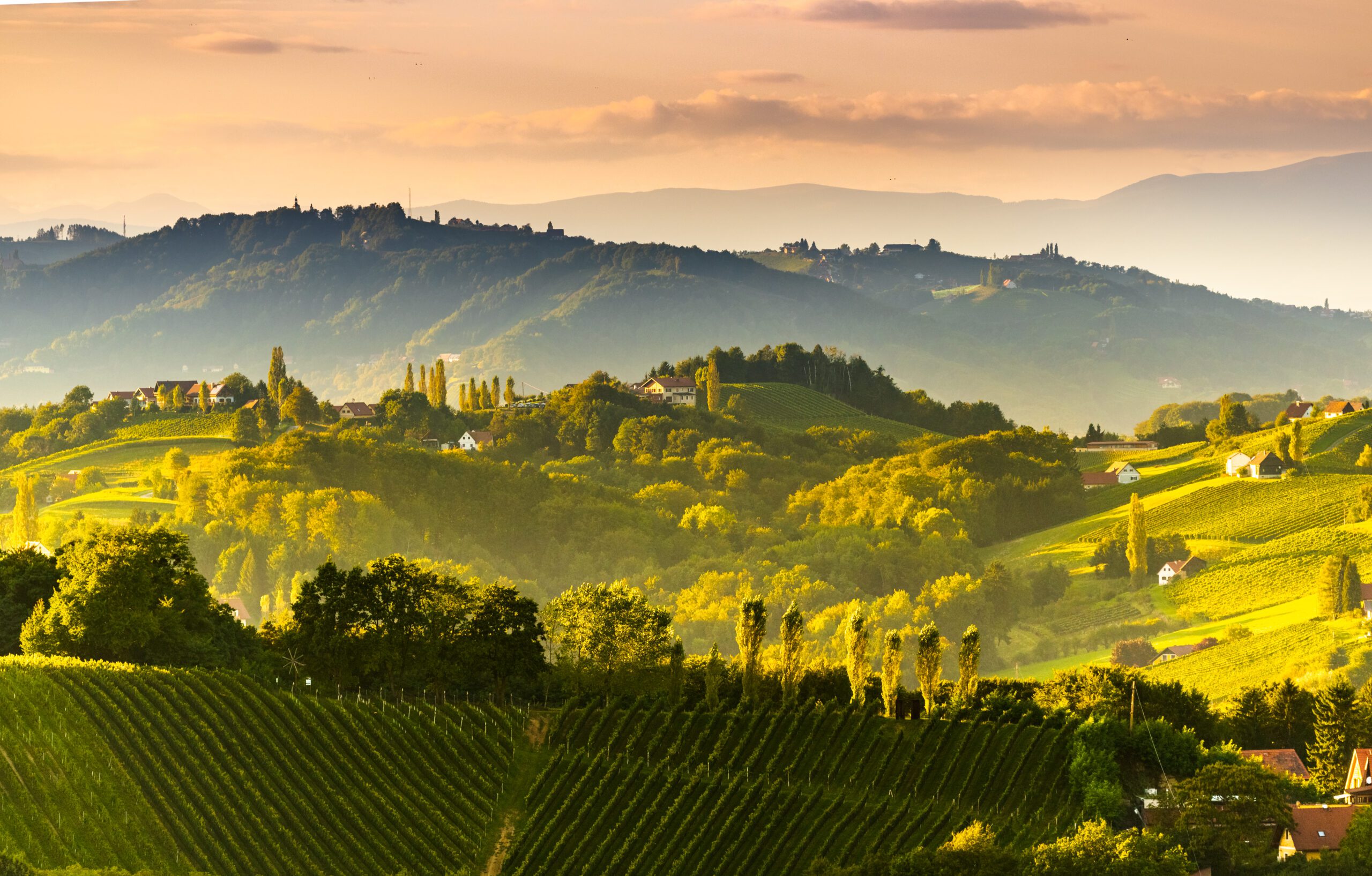 South styria vineyards landscape panorama, near Gamlitz, Austria, Eckberg, Europe. Grape hills view from wine road in spring. Tourist destination, travel spot.