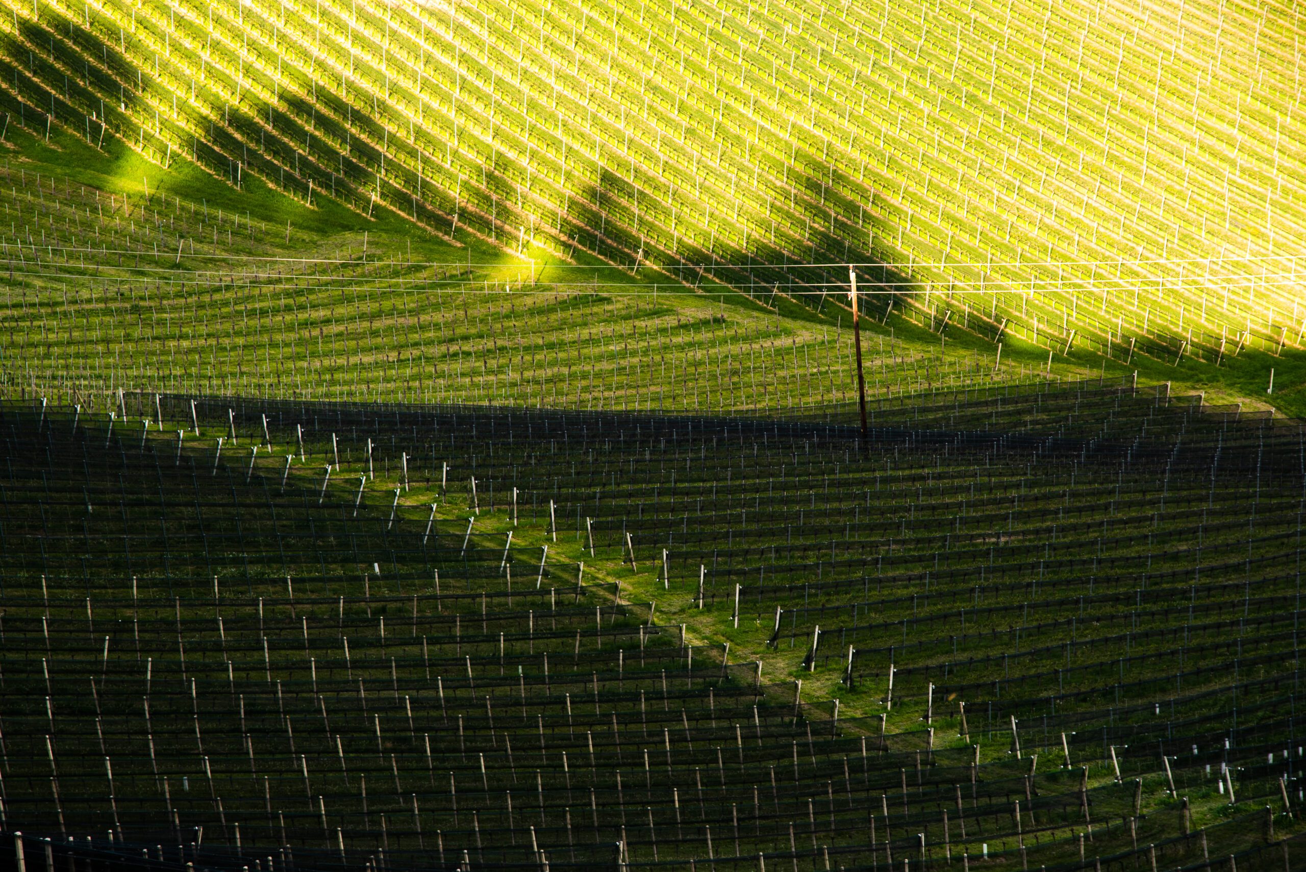 South styria vineyards landscape, near Gamlitz, Austria, Eckberg, Europe. Grape hills view from wine road in spring. Tourist destination, travel spot.