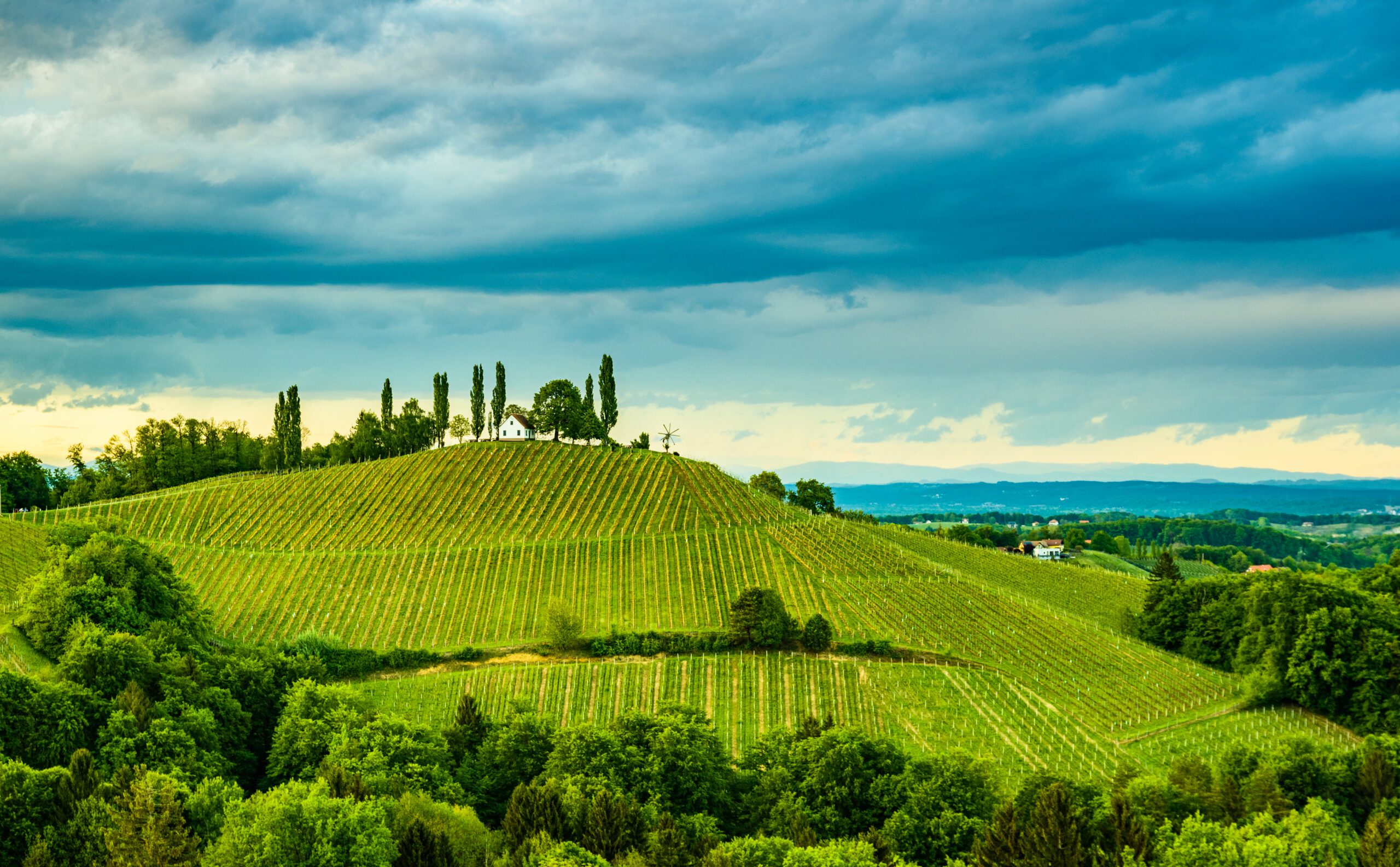 South styria vineyards landscape, near Gamlitz, Austria, Europe. Grape hills view from wine road in spring.