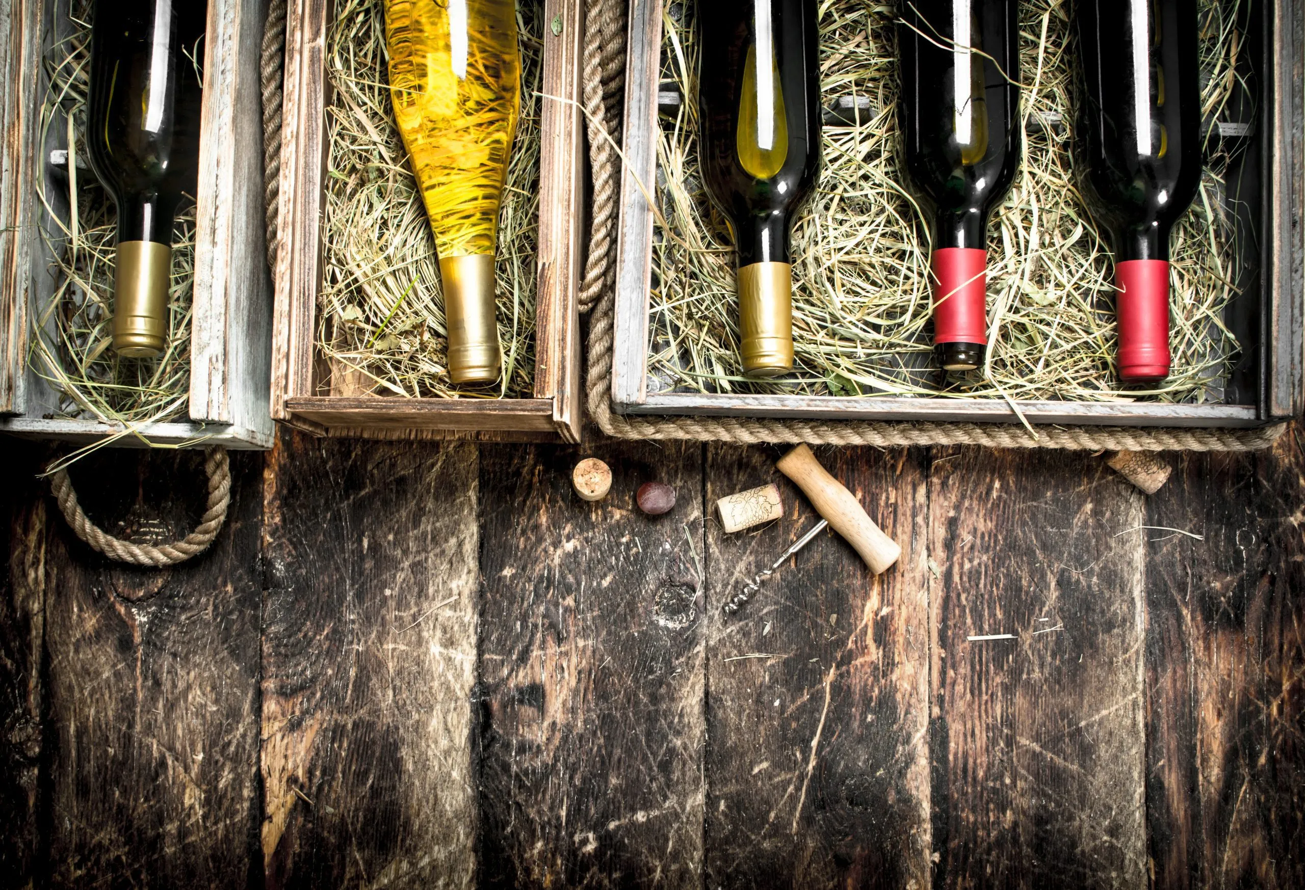 What Are Super Tuscans? Origins of Tignanello, Sassicaia and Bolgheri