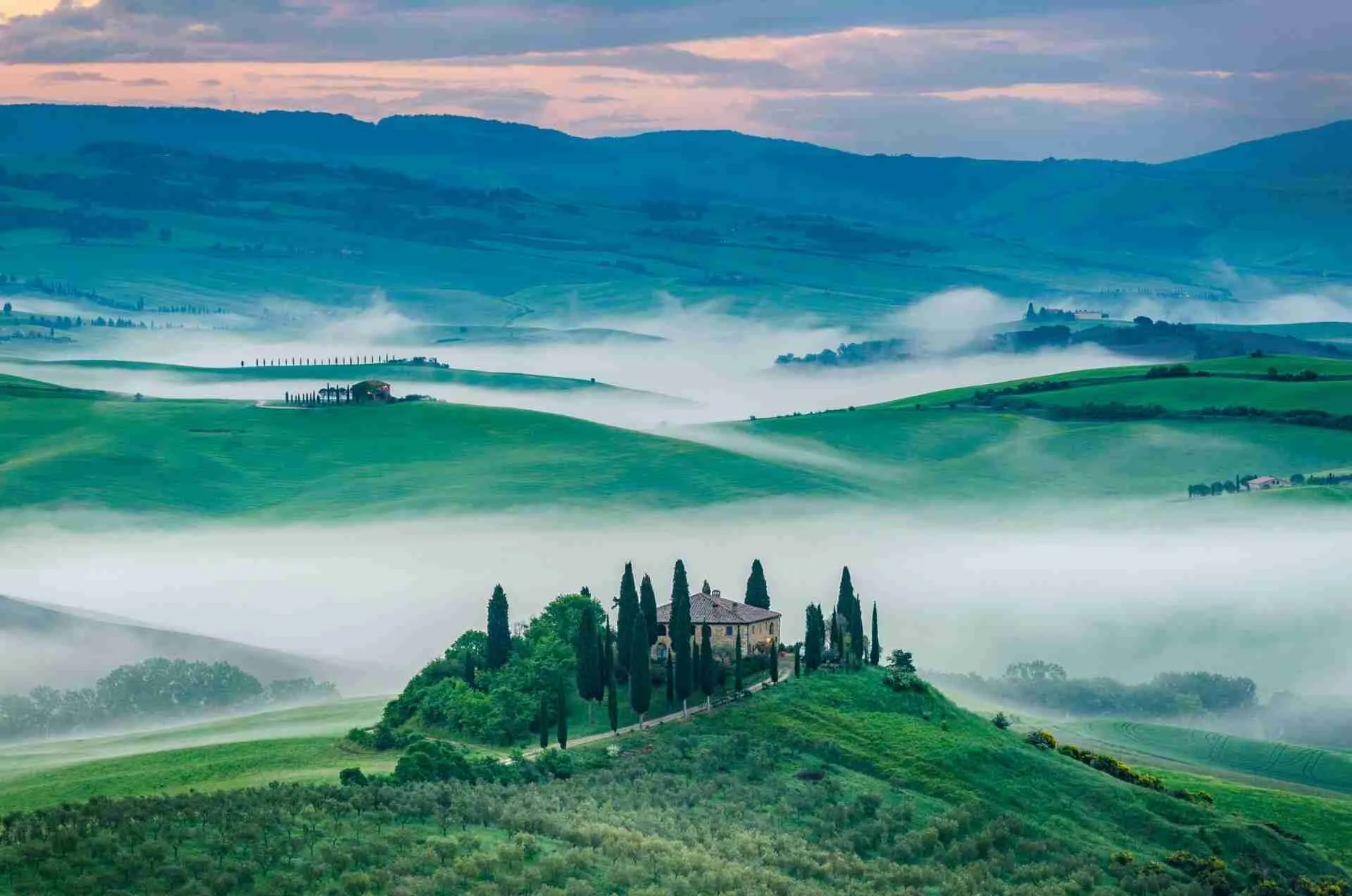 Fine Wine Market 2026: Signs of Recovery, With Italy and Champagne Leading